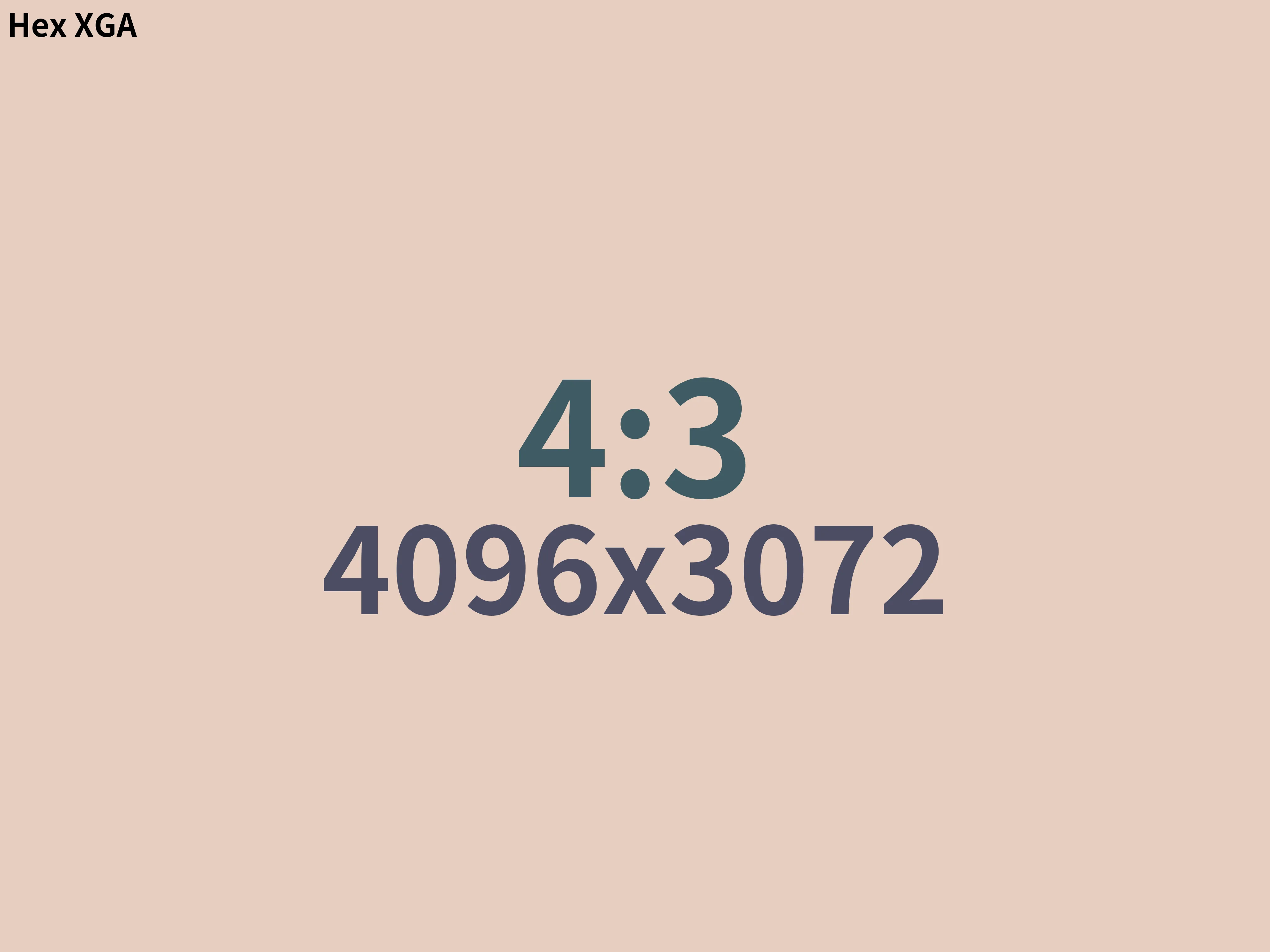 노노노노노노노노