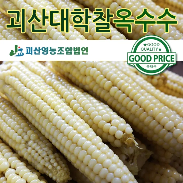 이미지 2