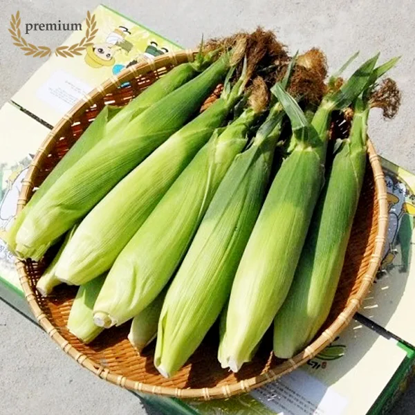 정품 괴산영농조합법인 괴산대학찰옥수수 생 깐 냉동