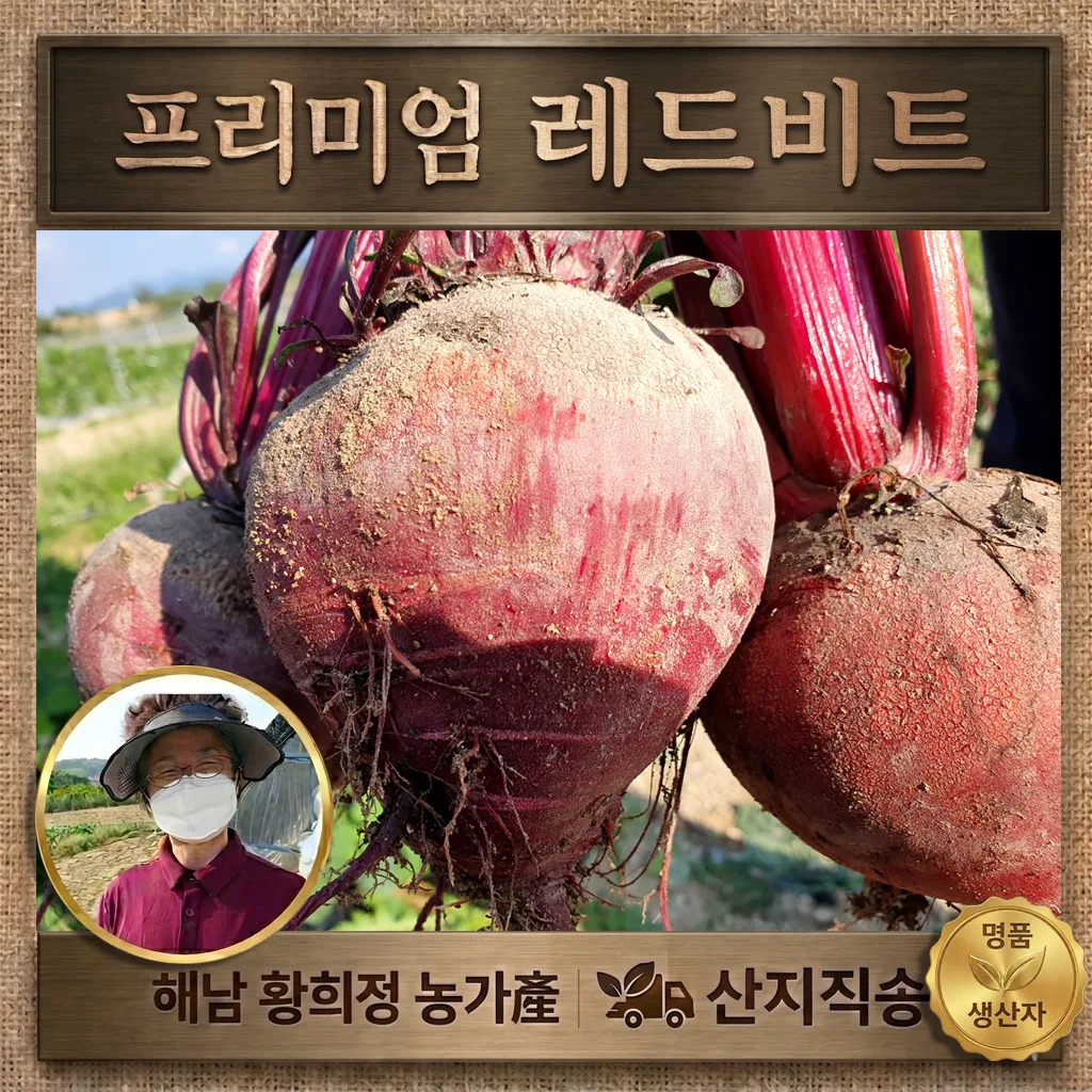 국내산 해남 레드비트 농가 직거래