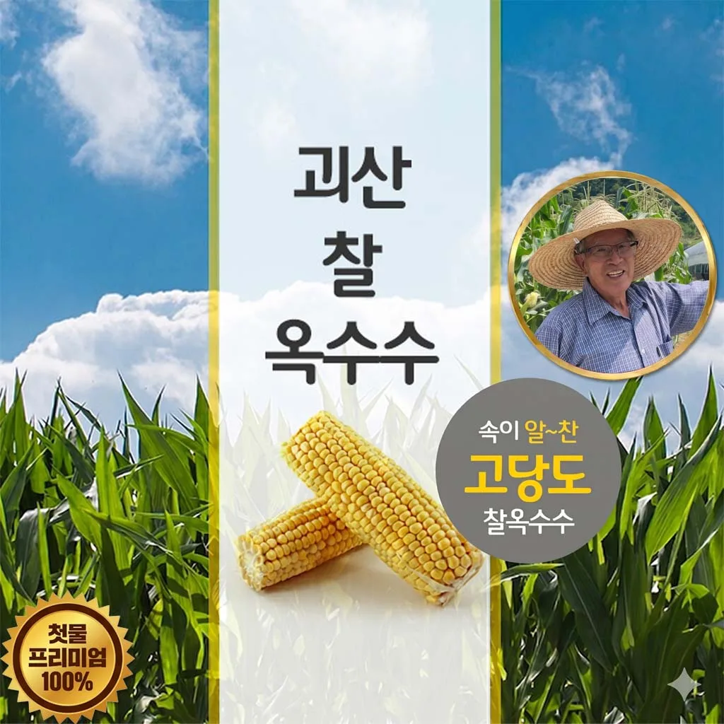 원조 괴산농장 괴산대학찰옥수수 최저가