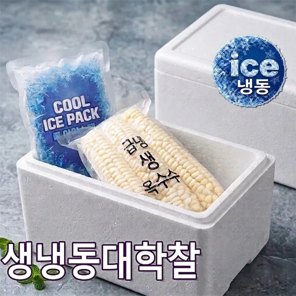 생냉동대학찰(진공급냉)