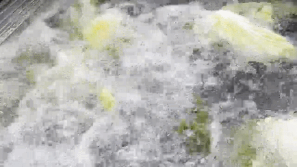 1781487584081798_5464_d75ad5f82a45e6d37a331679adbead9c_1781487584_0618.gif