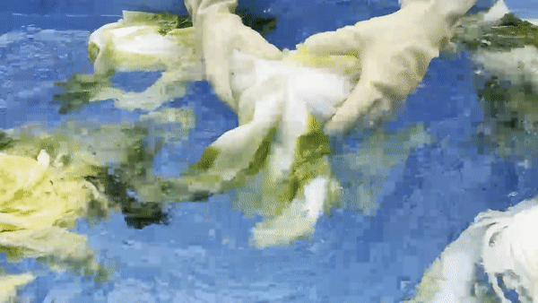 1781487576587699_2880_d75ad5f82a45e6d37a331679adbead9c_1781487576_567.gif