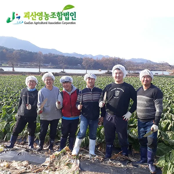 [로컬픽업: 충북 괴산군 현장방문수령] 정품 할인예약중 괴산절임배추 20kg (3,000원할인 10월달만)