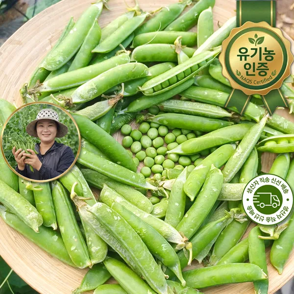 이미지 3