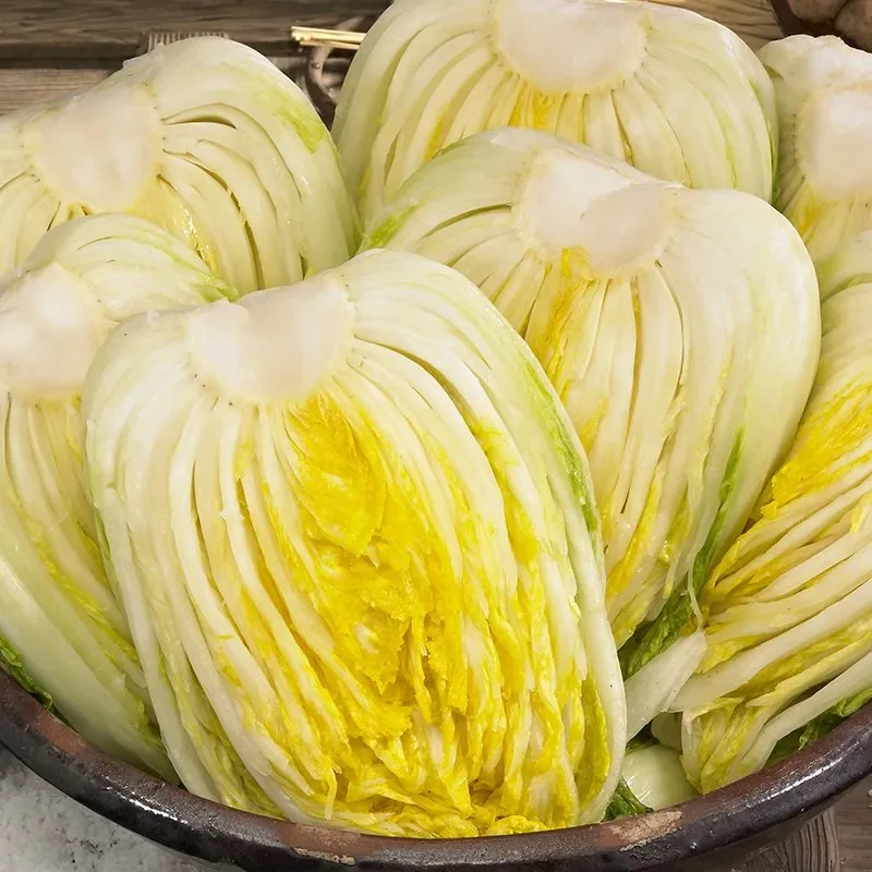 [괴산 칠성] 노창식 농가 괴산절임배추 20kg 예약접수중 10월 예약특가
