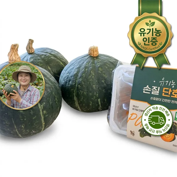 이미지 2