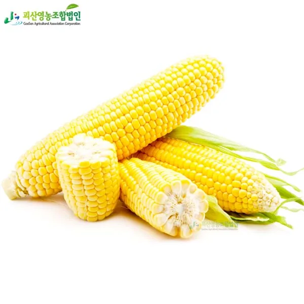 [6월예약] 초당 옥수수 고당도