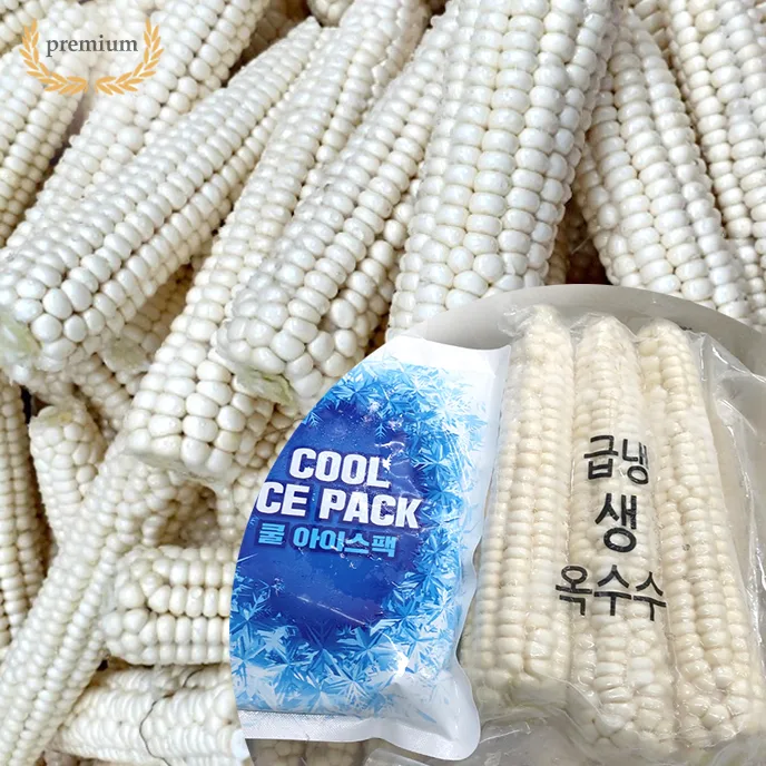 생냉동 괴산대학찰옥수수,생냉동 괴산미백찰옥수수