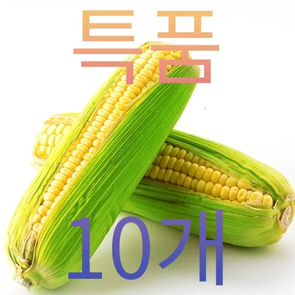 특품 급냉생초당옥수수10개 16cm전후 / 4월 17일 (금)