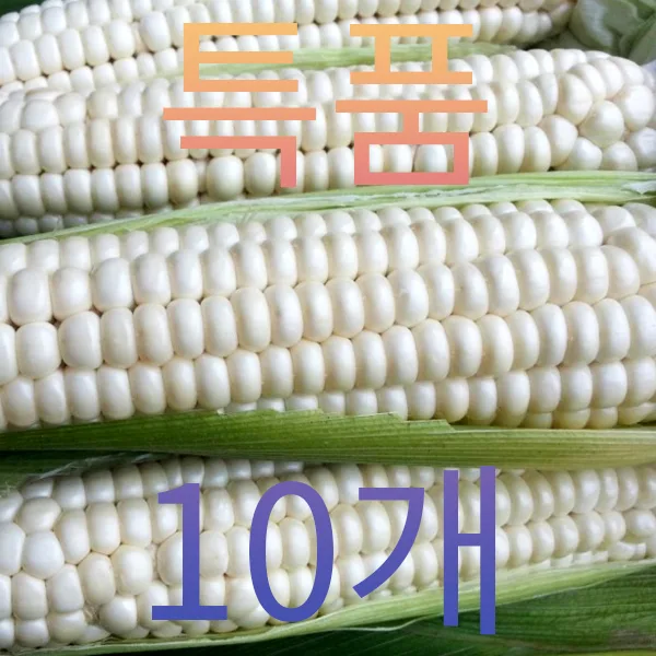 특품10개 18cm전후