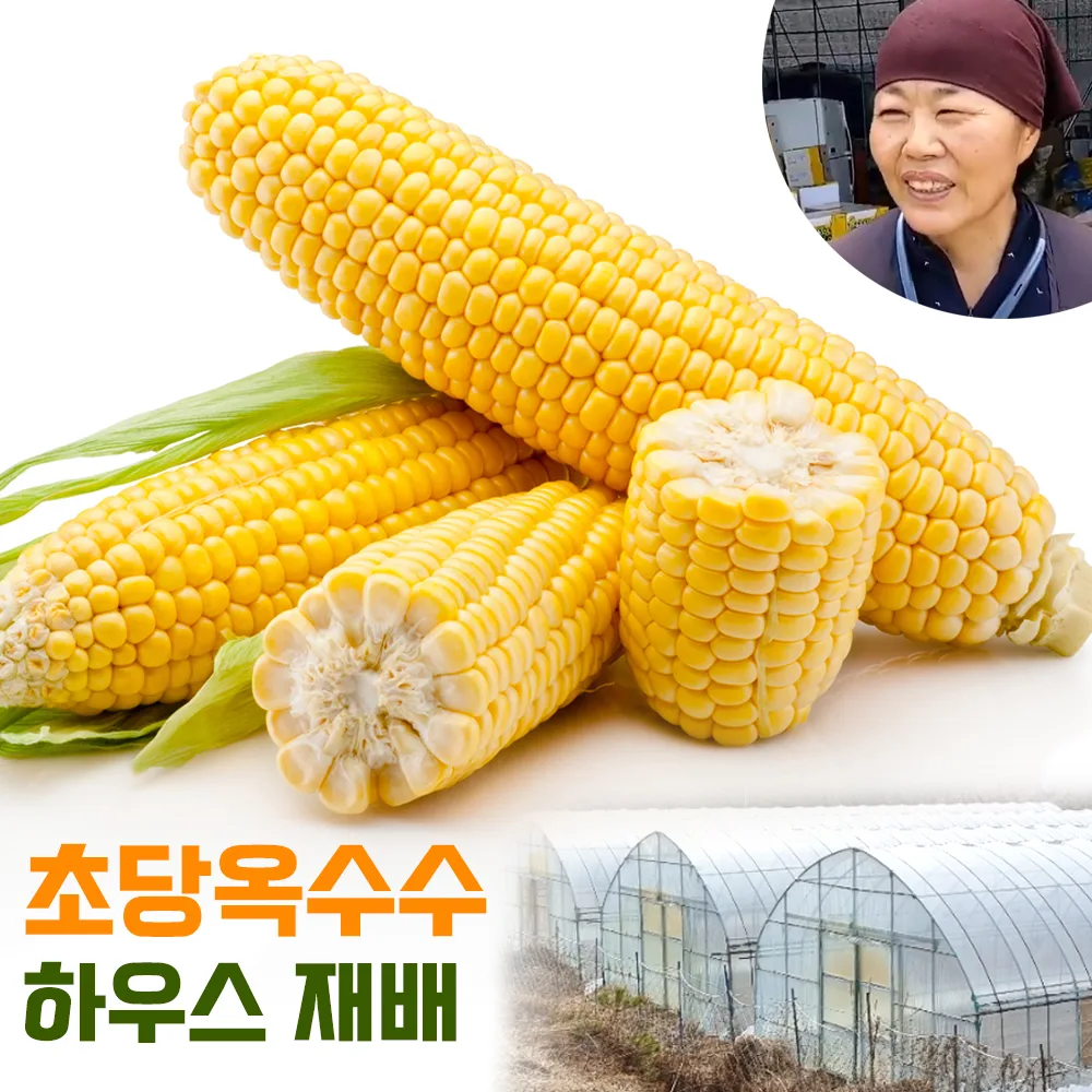 이미지 1