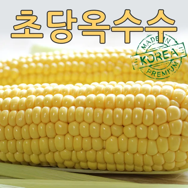이미지 4