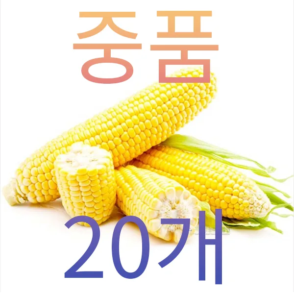 중품 하우스초당20개 13cm이하